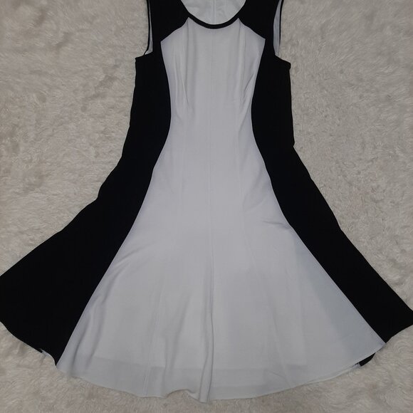 Tahari Women's White & Black, Fit & Flare Sleeveless Dress - US 6 - Picture 2 of 8